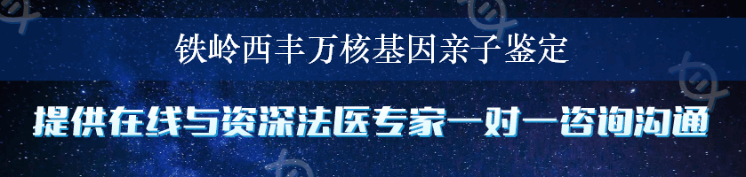 铁岭西丰万核基因亲子鉴定